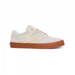 DC Kalis Vulc Skateschuhe Herren Grau | YRBM-94203