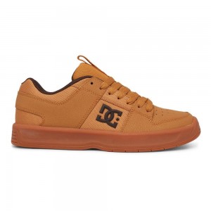 DC Lynx Skateschuhe Herren Braun | DCXY-10867