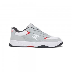 DC Penza Sportschuhe Herren Grau Weiß | ELDZ-46291