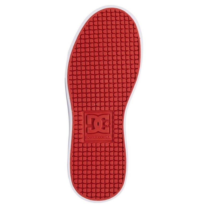 DC Anvil Skateschuhe Kinder Grau Rot | GRIO-19735