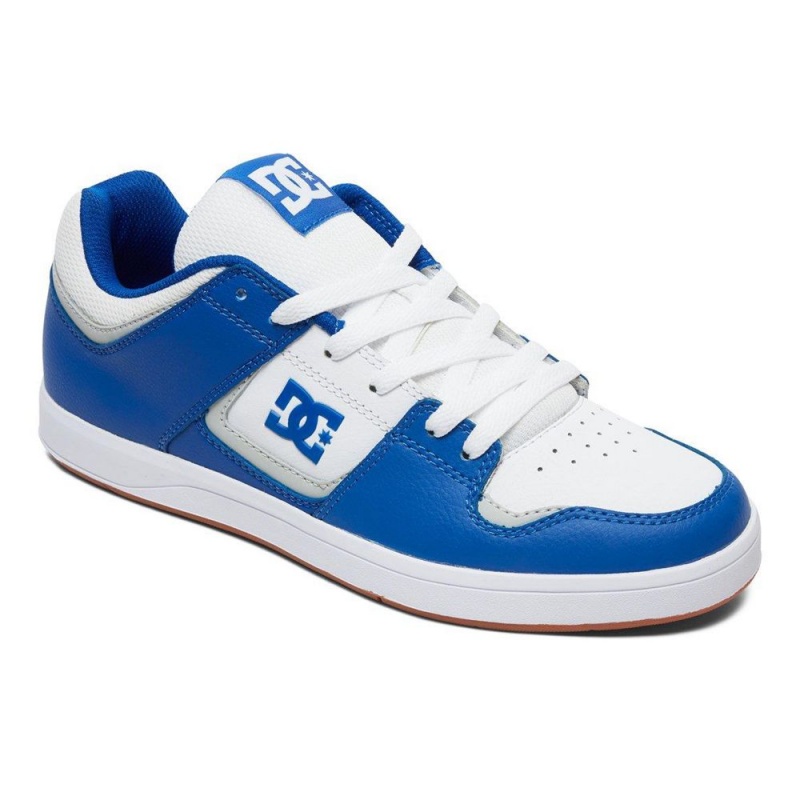 DC Cure Skateschuhe Herren Blau Weiß | WVYK-47523