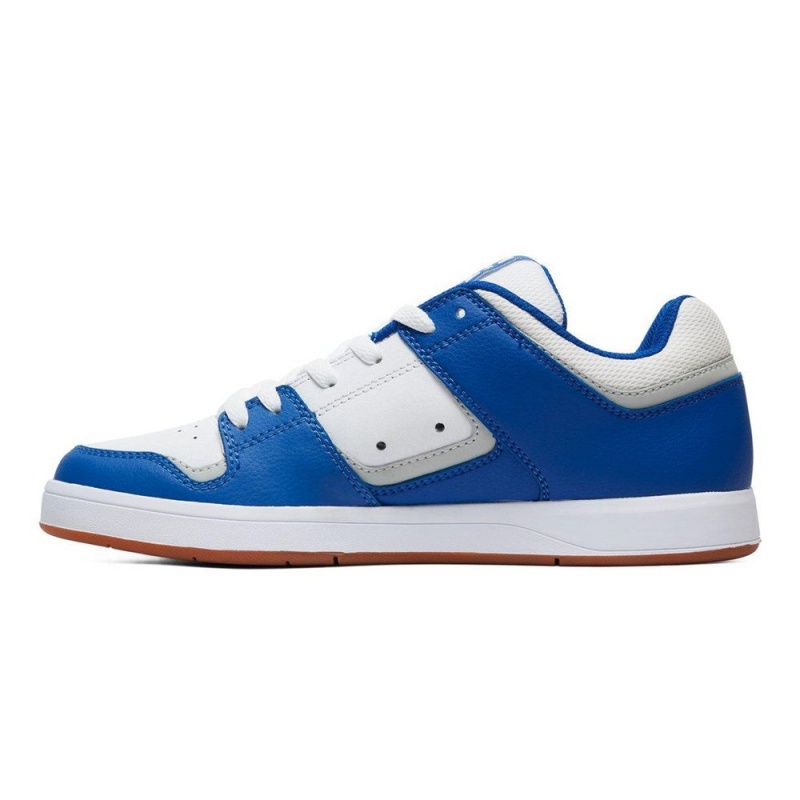 DC Cure Skateschuhe Herren Blau Weiß | WVYK-47523