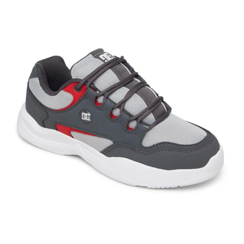 DC Decel Sportschuhe Herren Grau Schwarz | GPTN-09673