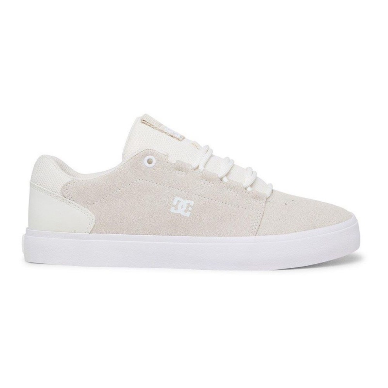 DC Hyde Skateschuhe Herren Grau | KZFX-63124