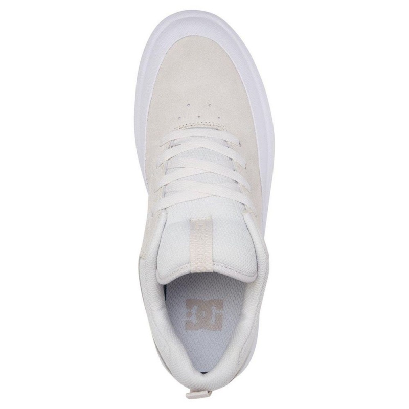 DC Infinite Skateschuhe Herren Grau Weiß | ZWYR-63127