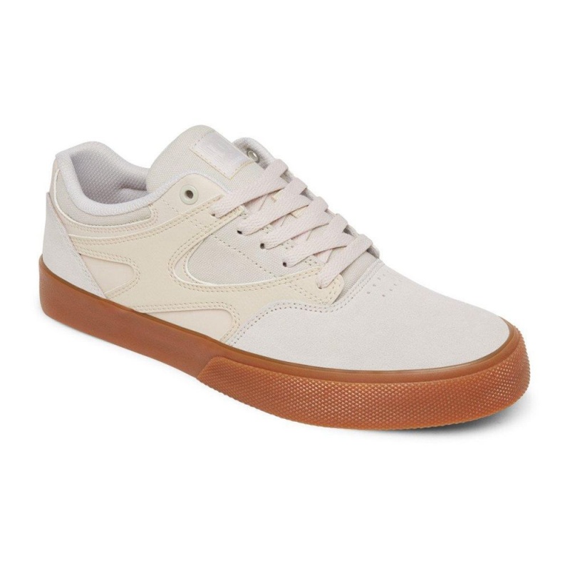 DC Kalis Vulc Skateschuhe Herren Grau | YRBM-94203