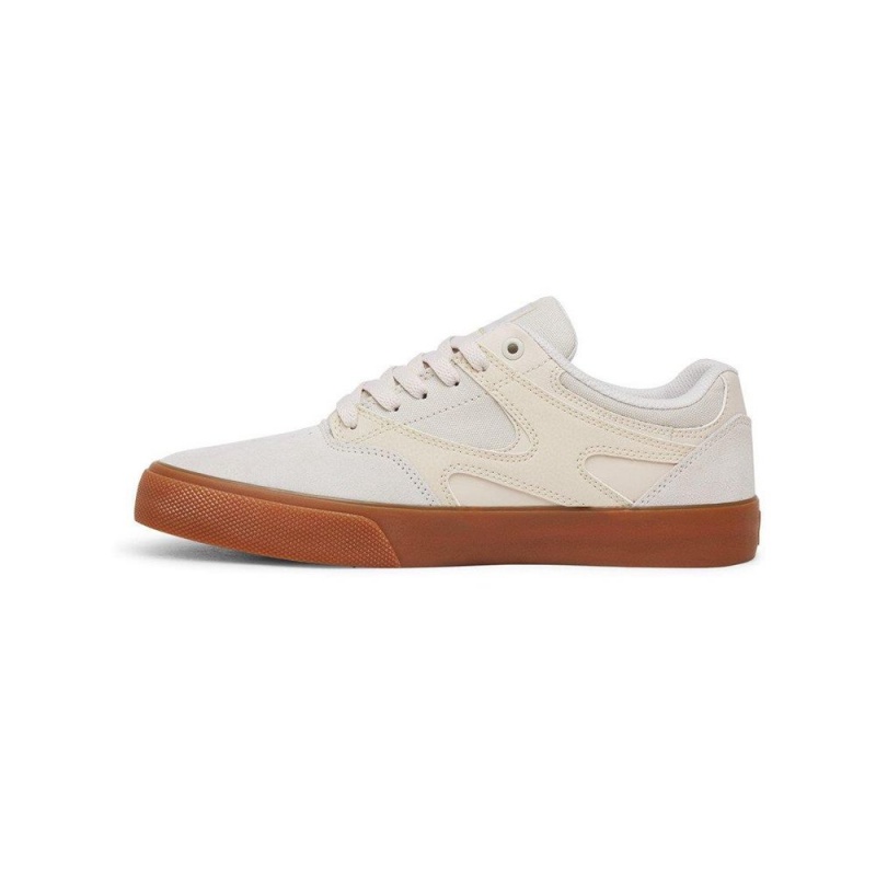 DC Kalis Vulc Skateschuhe Herren Grau | YRBM-94203