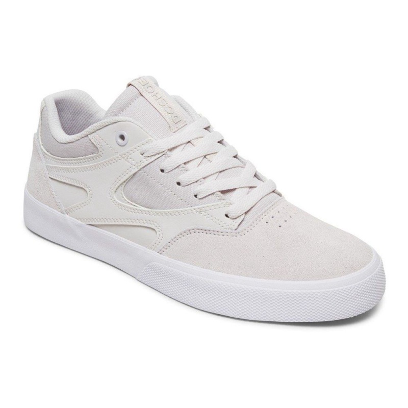 DC Kalis Vulc Skateschuhe Herren Weiß | FCKW-21089