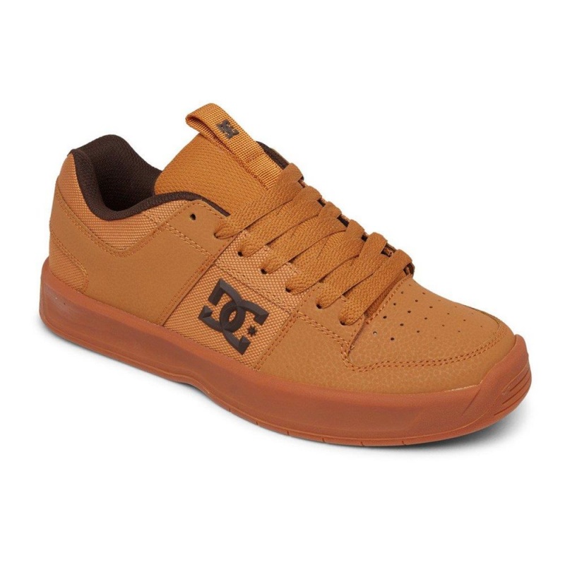 DC Lynx Skateschuhe Herren Braun | DCXY-10867