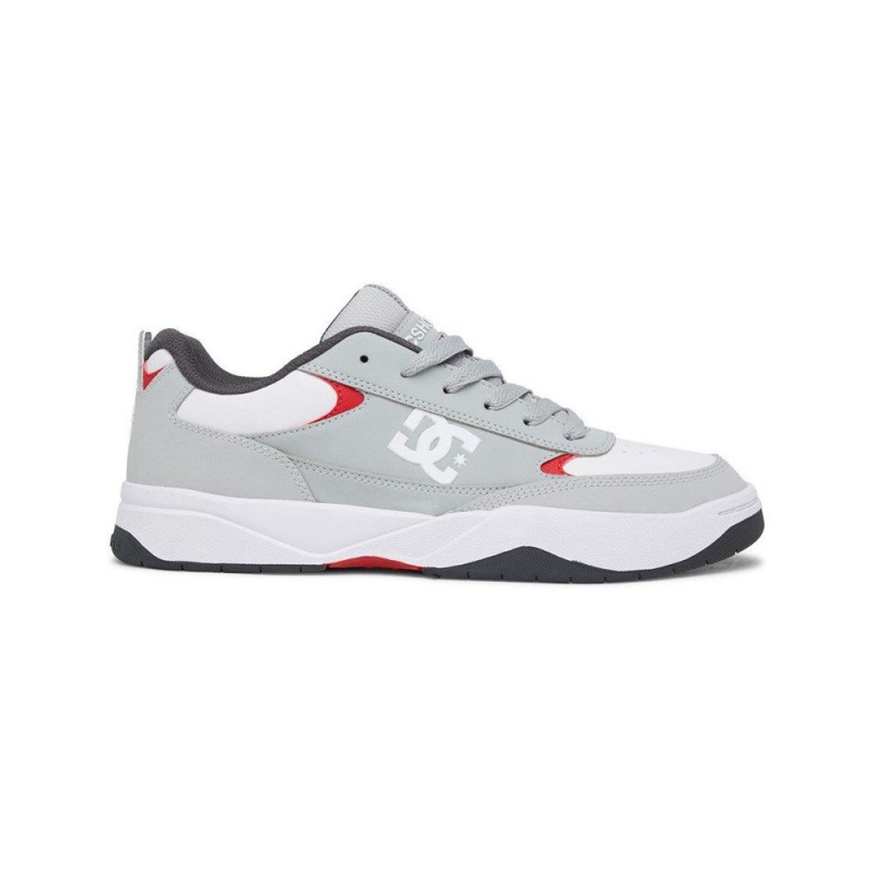 DC Penza Sportschuhe Herren Grau Weiß | ELDZ-46291